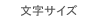�����T�C�Y�ύX